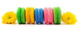 Macaron Making Workshop